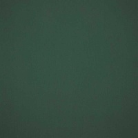 Ткань Sunbrella Natte 10232-ivy