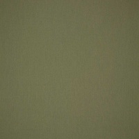 Ткань Sunbrella Natte 10233-pistachio
