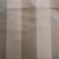 Ткань Galleria Arben Cabana Stripe Mink