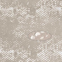 Тюль Sarlas Shizen 2-3603-moca