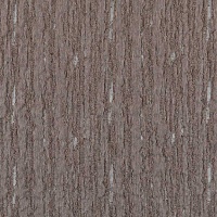 Тюль Sarlas Chanel 2-3334-coffee