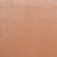 Ткань Anka Algas Plain цвет 310863