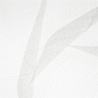 Тюль Elegancia Cosmos Radial Shadow