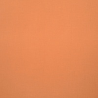 Тюль Anka Colorama цвет 19