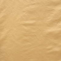 Ткань Galleria Arben Exclusive Georgium Beige