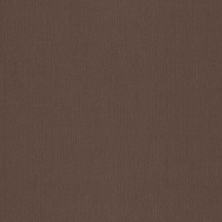 Ткань Sunbrella Solids 3127-mink brown DC