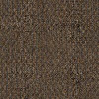 Тюль Sarlas Vichy 2-4165-coffee