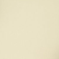 Тюль Anka Clark D02567 цвет 26999