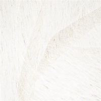 Тюль Elegancia Cosmos Starry Raffia