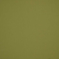 Ткань Sunbrella Solids 3970-lichen