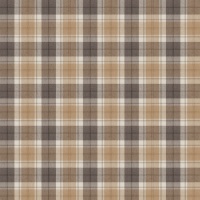 Ткань Fabricut Twitch Plaid Platinum