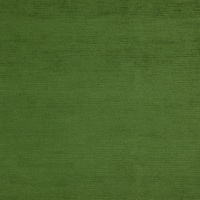 Ткань Galleria Arben Baron 39 Kiwi