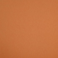Ткань Anka Ramo D02986-310 цвет 19670