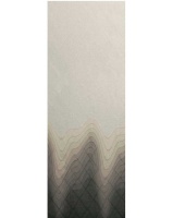 Тюль Sarlas Visual 2-1862-grey