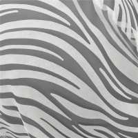 Тюль Elegancia Fresno Evansville Cream