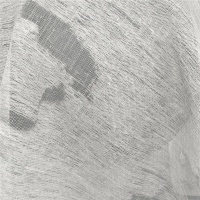 Тюль Elegancia Fresno Monterey Bone