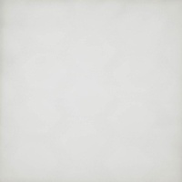 Тюль Elegancia Blossom Beam Snow