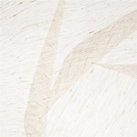 Ткань Elegancia Focus Taupe