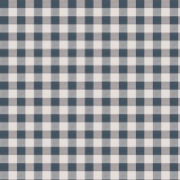 Ткань Fabricut Turbo Check Navy