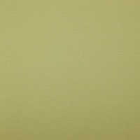 Ткань Elegancia Canvas Bonfire Linden