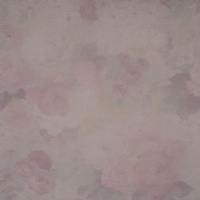 Тюль Anka Nevalya Suit 59013 цвет 1027