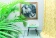 Ткань Elegancia Daylight Reus 4