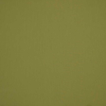 Ткань Sunbrella Solids 3970-lichen