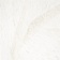 Тюль Elegancia Cosmos Starry Raffia Тюль Elegancia Cosmos Starry Raffia