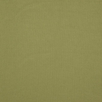 Ткань Elegancia Falcon Moss