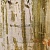 Тюль Nevio Ornato sheer 050