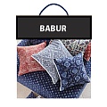 Babur