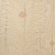 Ткань Galleria Arben Exclusive Bouquet Damask 3800 Des 2/3104 Col 2 Ivory