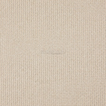 Ткань Galleria Arben Fashionable 01 Sand