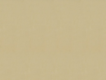 Тюль Espocada 2371/21