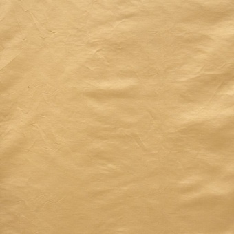 Ткань Galleria Arben Exclusive Georgium Beige