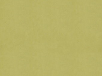 Тюль Espocada 2371/51