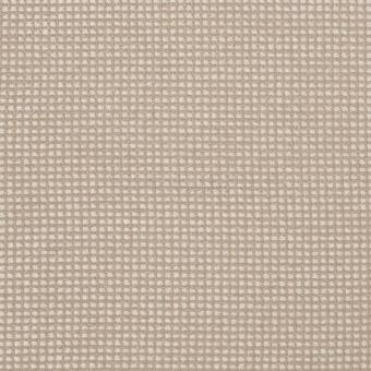 Ткань Fabricut Jackpot Coconut