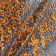 Ткань Panorama Decor OW8 1561-716