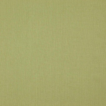 Ткань Elegancia Canvas Lizard