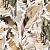 Ткань Galleria Arben Perys 30 Beige