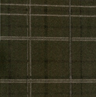 Ткань Galleria Arben Tartan Alison 04