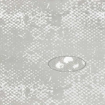 Тюль Sarlas Shizen 2-3609-grey