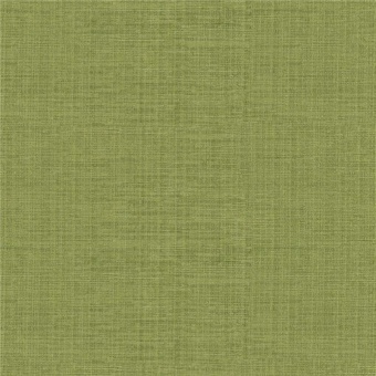 Ткань Elegancia Cassel Raville Kiwi