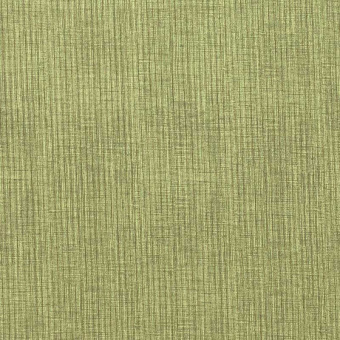 Ткань Dom Caro Hombre 20-moss