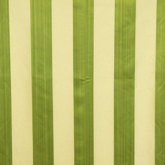 Ткань Galleria Arben Exclusive Angel & Music Stripe 6 Green