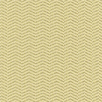 Ткань Elegancia Chevron Explorer Pistachio