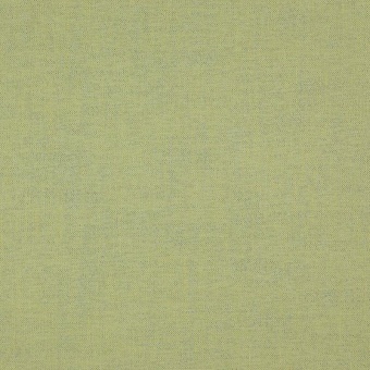 Ткань Elegancia Cashmere Cottony Fern