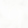Тюль Elegancia Fresno Willmar Pure