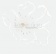 Тюль Gianti Flora 622-1061