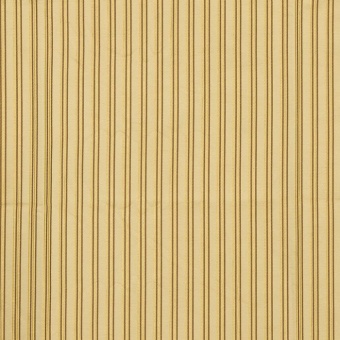 Ткань Galleria Arben Exclusive Buonarroti Stripe 202 Polychrome *